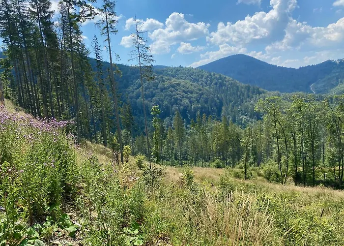 Сasa de vacaciones Ostoja Rycerka Rycerka Gorna