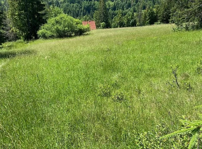 Ostoja Rycerka Rycerka Gorna